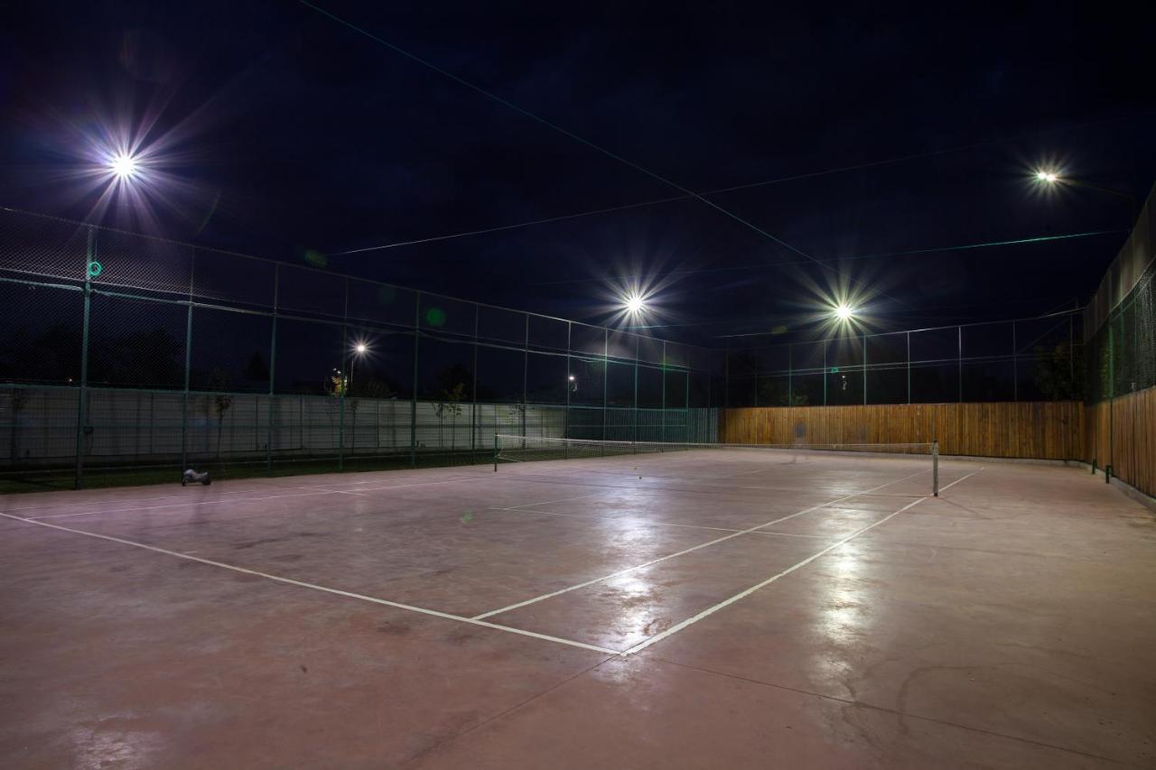 Vila Dumitrana Bagian luar foto